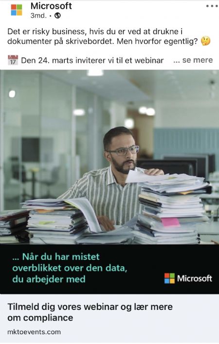 Billede af Qasam - ID: 26972 - Billede nr: 502968