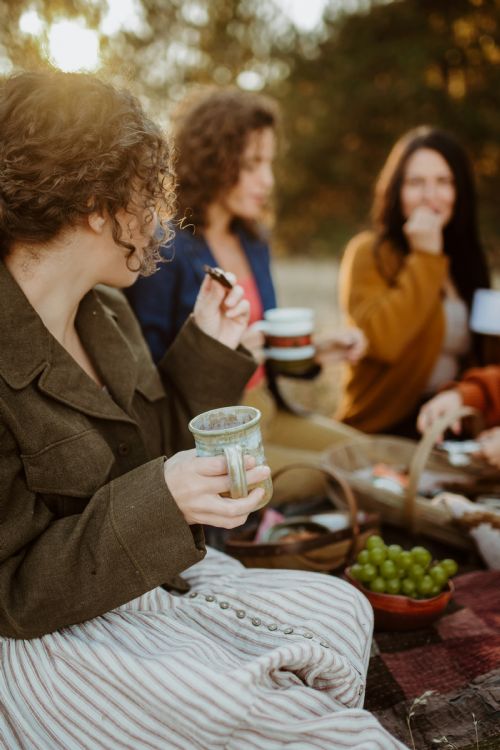 Kvinder der spiser picnic