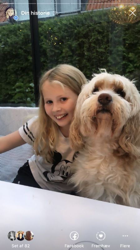 Profilbillede af Frida V- ID: 116074 - Billede nr: 417678