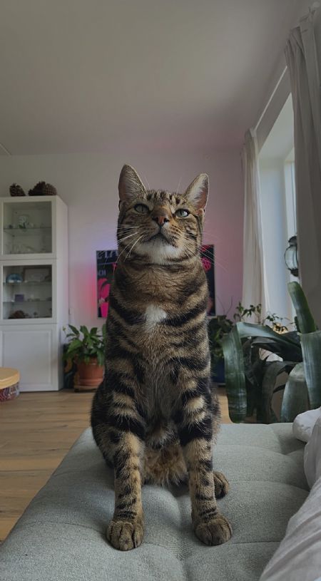 Profilbillede af Foxey- ID: 118079 - Billede nr: 505977