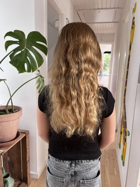 Billede af Molly - ID: 130947 - Billede nr: 632784