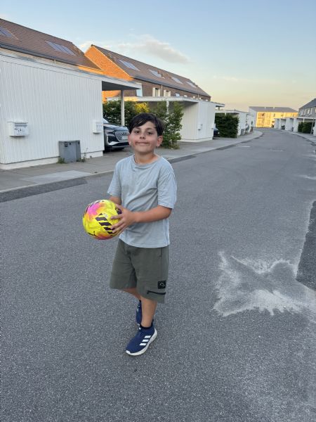 Billede af Albert - ID: 136792 - Billede nr: 682351
