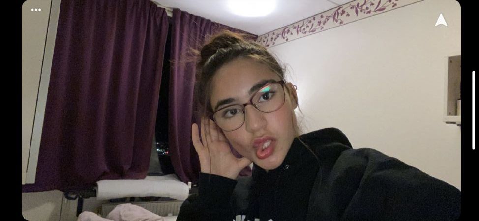 Billede af Malak - ID: 139070 - Billede nr: 438361