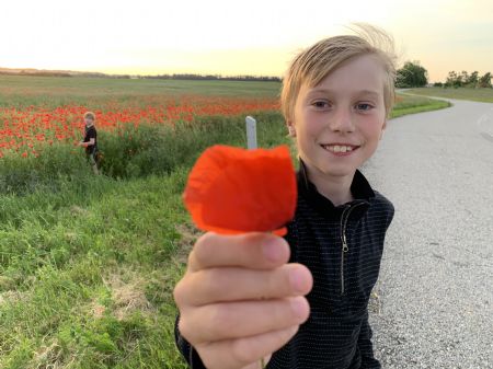 Profilbillede af Alfred D- ID: 142960 - Billede nr: 451925