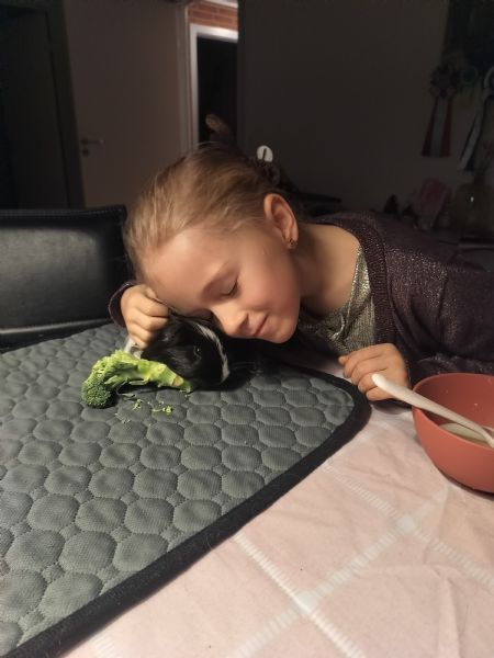 Billede af Lærke - ID: 145821 - Billede nr: 673439
