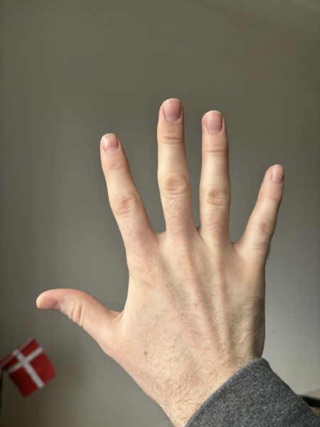 Billede af Peter - ID: 147493 - Billede nr: 661792