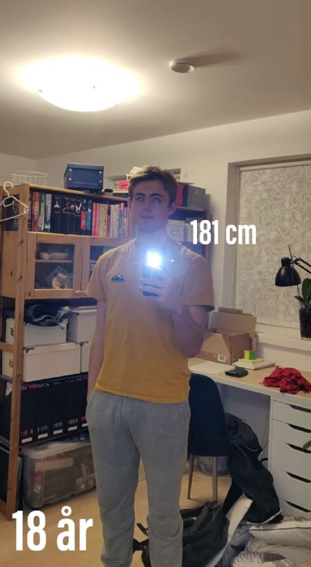 Profilbillede af Sol L- ID: 150037 - Billede nr: 478088