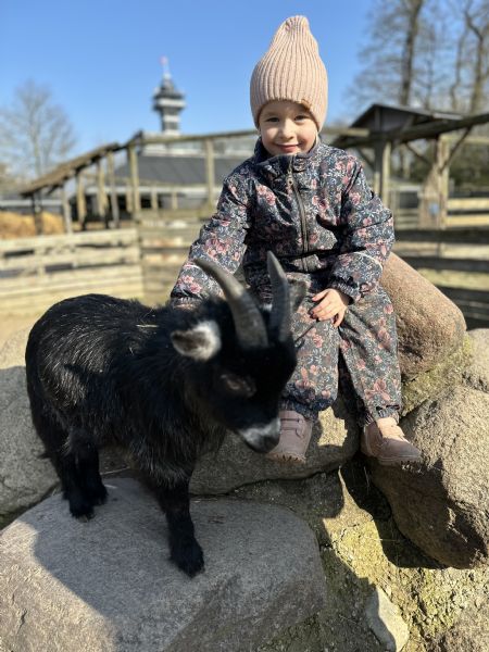 Profilbillede af Clara T- ID: 150729 - Billede nr: 559350
