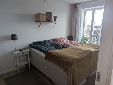 Billede af Emma - ID: 150765 - Billede nr: 651581