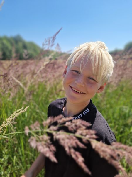 Billede af Hektor - ID: 155686 - Billede nr: 681138
