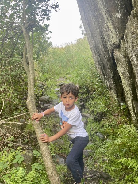 Billede af Diego - ID: 155990 - Billede nr: 643983