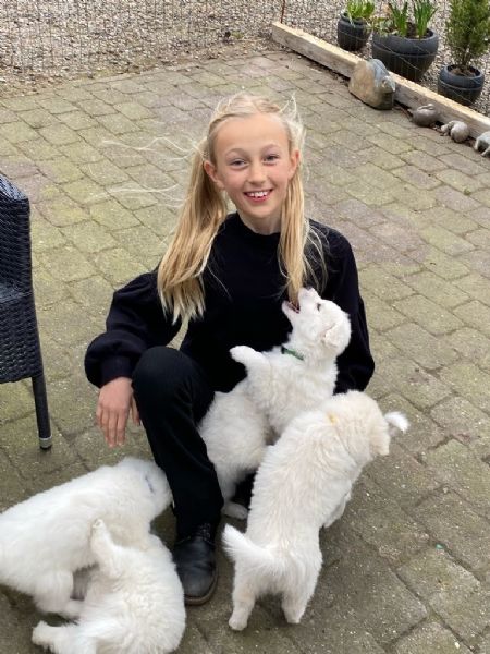 Profilbillede af Christine E- ID: 156287 - Billede nr: 501228