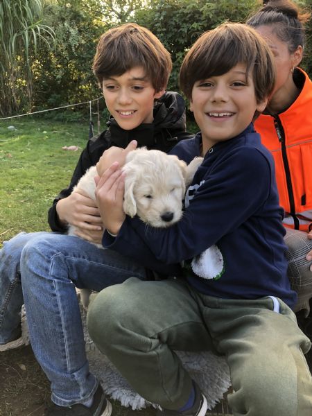 Profilbillede af Elliot - ID: 160515 - Billede nr: 516288