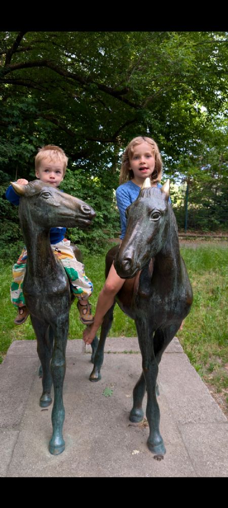 Billede af Freja - ID: 160915 - Billede nr: 677564