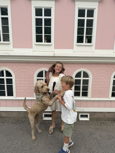 Billede af Vilja - ID: 165723 - Billede nr: 686792