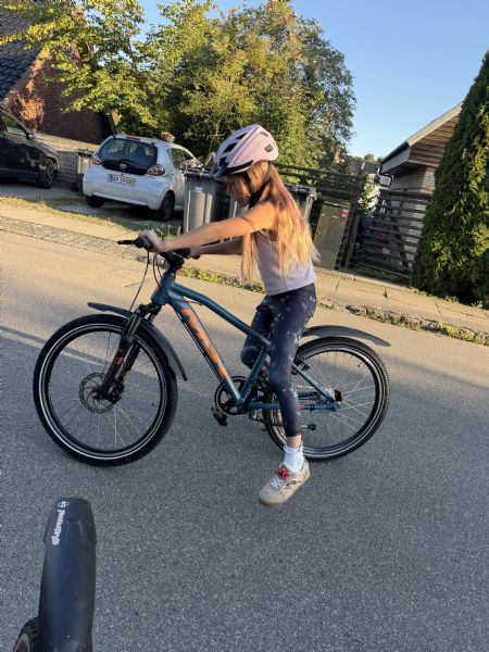 Billede af Vilja - ID: 165723 - Billede nr: 689095