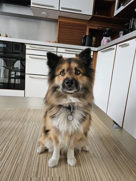 Profilbillede af Nikoline F- ID: 171584 - Billede nr: 562605