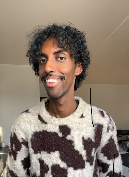 Profilbillede af Hamza A- ID: 1729247 - Billede nr: 649800