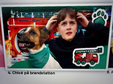 Billede af Emil - ID: 1730646 - Billede nr: 692844