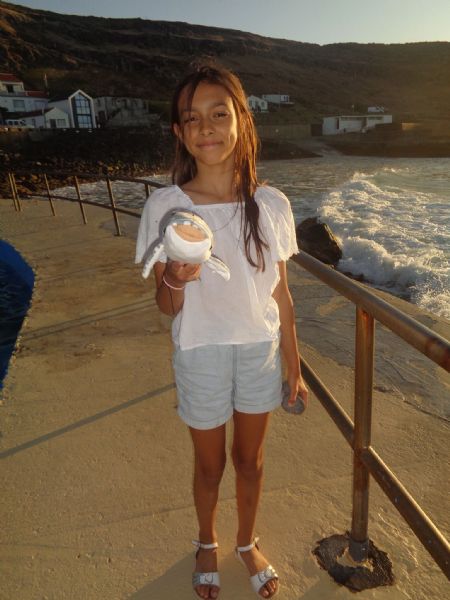 Billede af Alice - ID: 1732956 - Billede nr: 641657