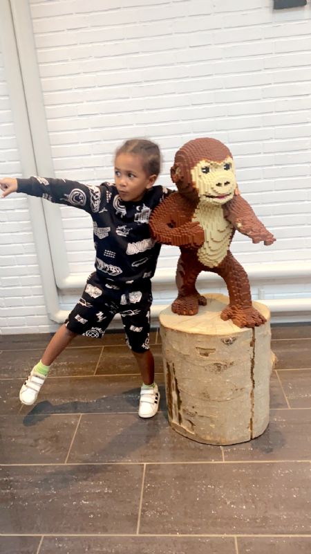 Billede af Denzel - ID: 1733601 - Billede nr: 610765