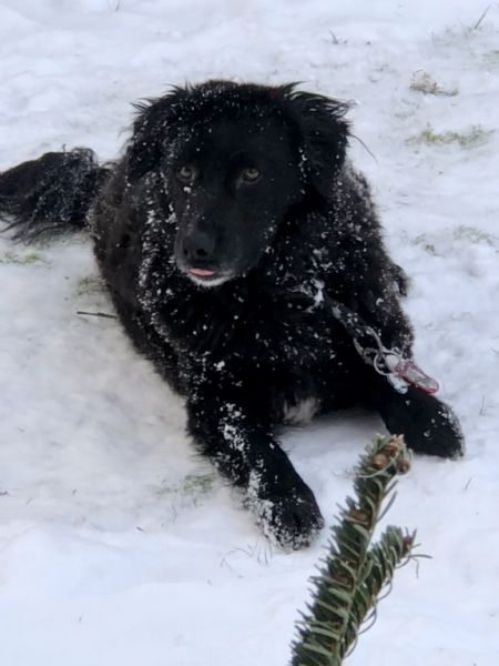 Billede af William - ID: 1735532 - Billede nr: 656209