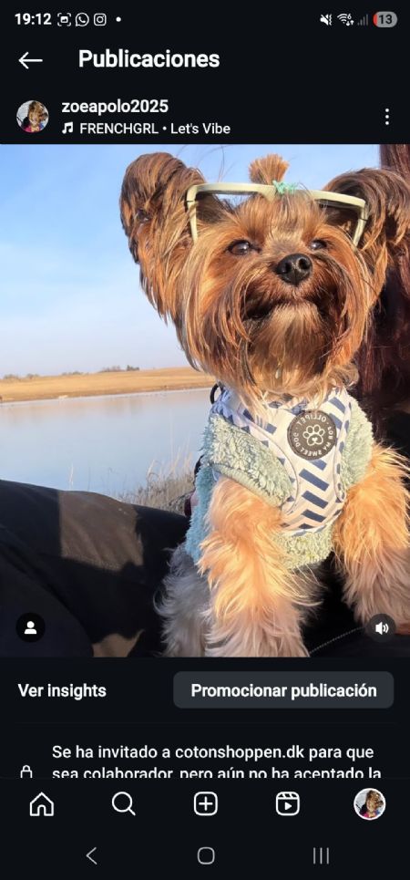 Profilbillede af Julieth Z- ID: 1737496 - Billede nr: 622186