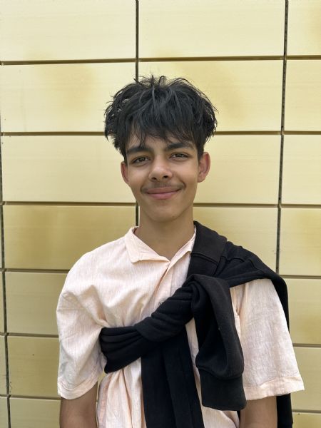 Billede af Louis - ID: 1738786 - Billede nr: 634051