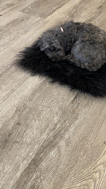 Billede af Yvonne - ID: 1739696 - Billede nr: 645495