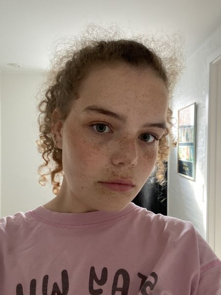 Billede af Rosa - ID: 1739980 - Billede nr: 661644