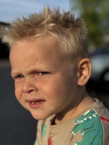 Profilbillede af Grøndal O, Familieprofil - ID: 1740109 - Billede nr: 635143
