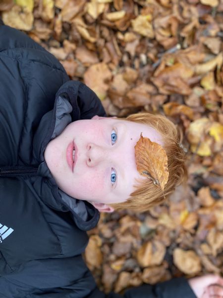 Billede af Conrad - ID: 1741585 - Billede nr: 642050