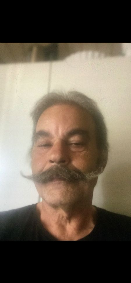 Billede af Teddy - ID: 1741780 - Billede nr: 642902