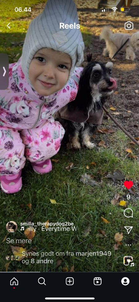 Billede af Smilla - ID: 1742130 - Billede nr: 644924