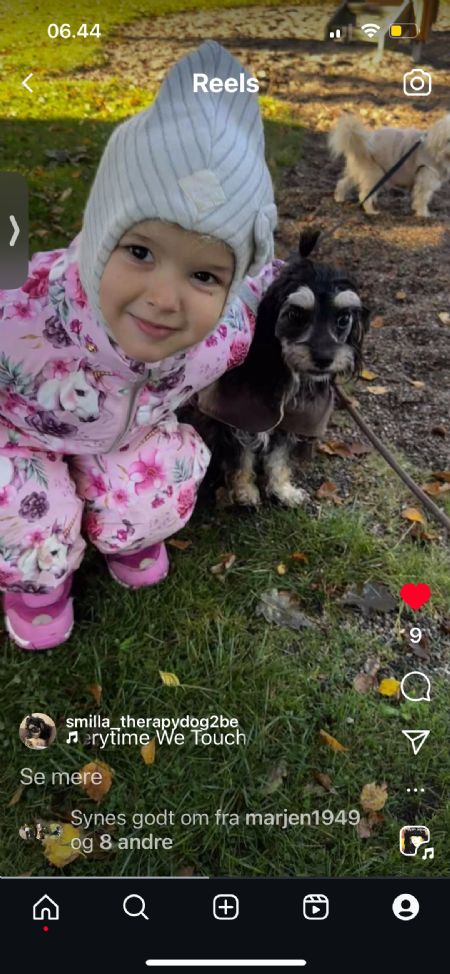 Billede af Smilla - ID: 1742130 - Billede nr: 644925