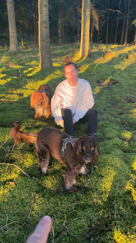 Billede af Katie - ID: 1742278 - Billede nr: 645397