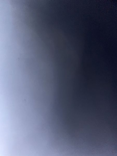 Profilbillede af Isabella P- ID: 1742991 - Billede nr: 648501