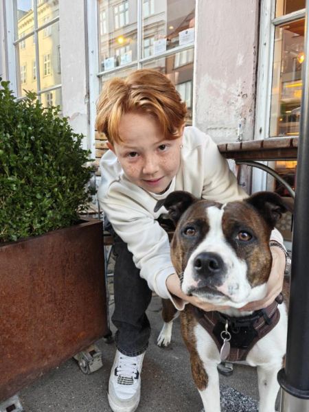 Profilbillede af Konrad K- ID: 1743617 - Billede nr: 649982