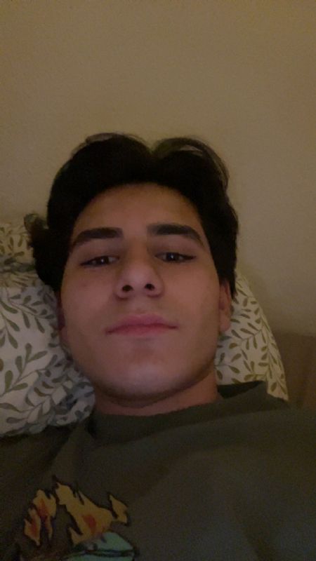 Billede af Efe - ID: 1743993 - Billede nr: 651133