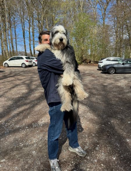 Billede af Martin - ID: 1744393 - Billede nr: 673861