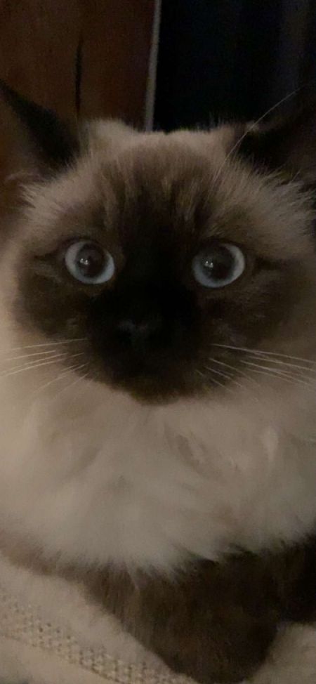 Profilbillede af Peachy- ID: 1744405 - Billede nr: 652654