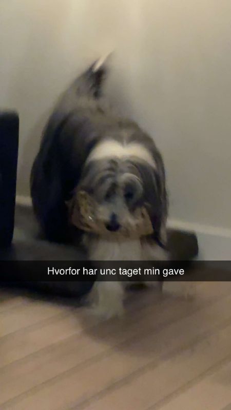 Profilbillede af Lucaz Ø- ID: 1744418 - Billede nr: 667461