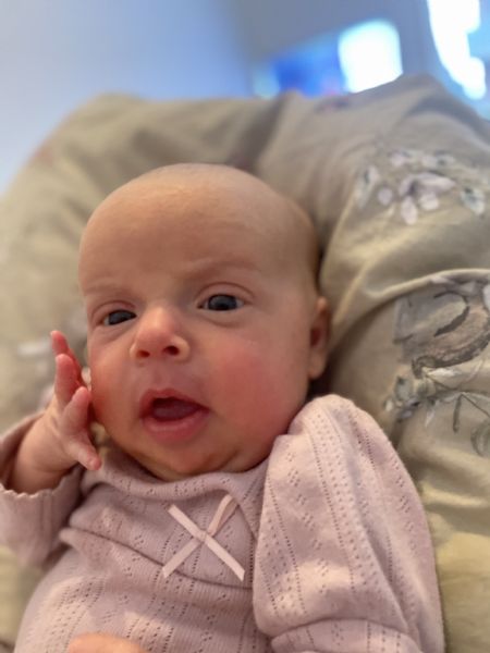 Profilbillede af Solveig D- ID: 1744728 - Billede nr: 653876