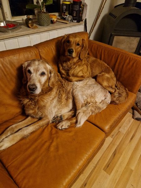 Profilbillede af Tina S- ID: 1745197 - Billede nr: 656007