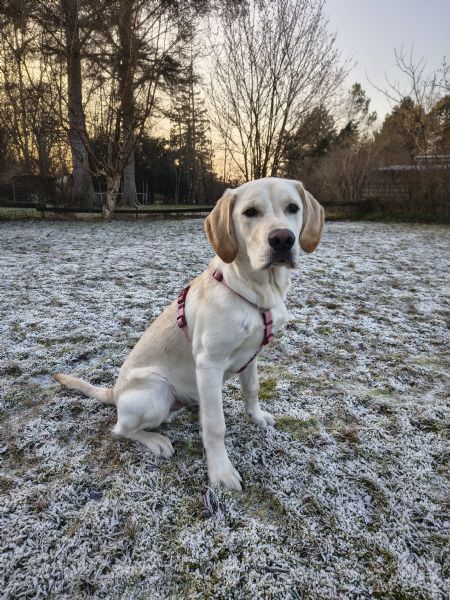 Profilbillede af Julia M- ID: 1745204 - Billede nr: 656035