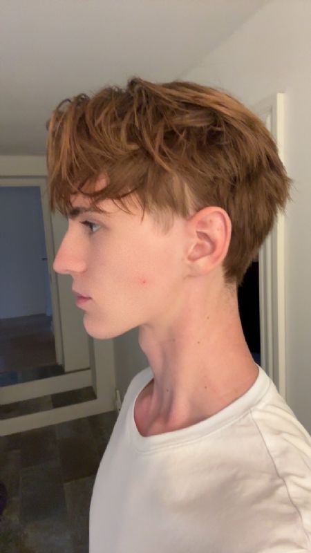 Billede af Arthur - ID: 1745239 - Billede nr: 691719