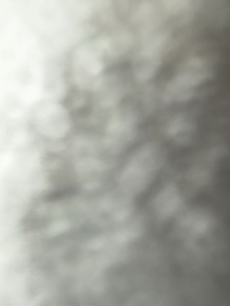 Profilbillede af Cecillie T- ID: 1745249 - Billede nr: 656546