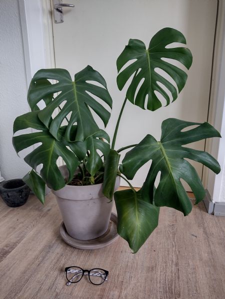 Profilbillede af Tove L- ID: 1748024 - Billede nr: 668588