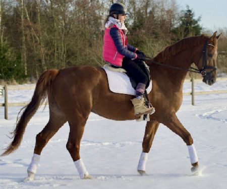 Billede af Kristina - ID: 1748932 - Billede nr: 672618