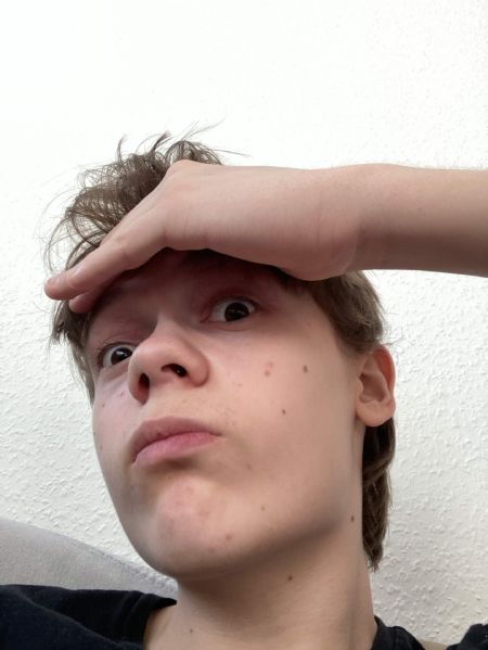 Billede af Albert - ID: 1748941 - Billede nr: 672638
